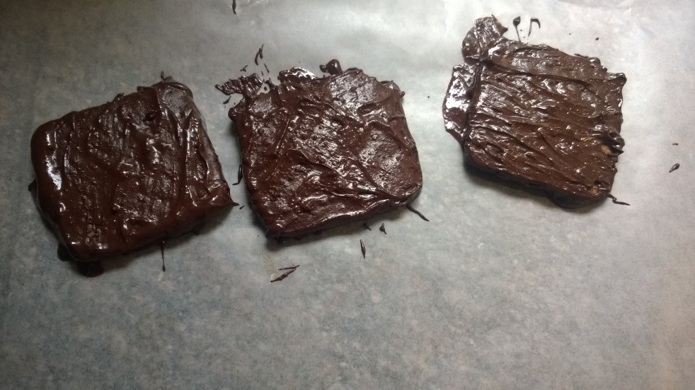 chocolate covered grahams