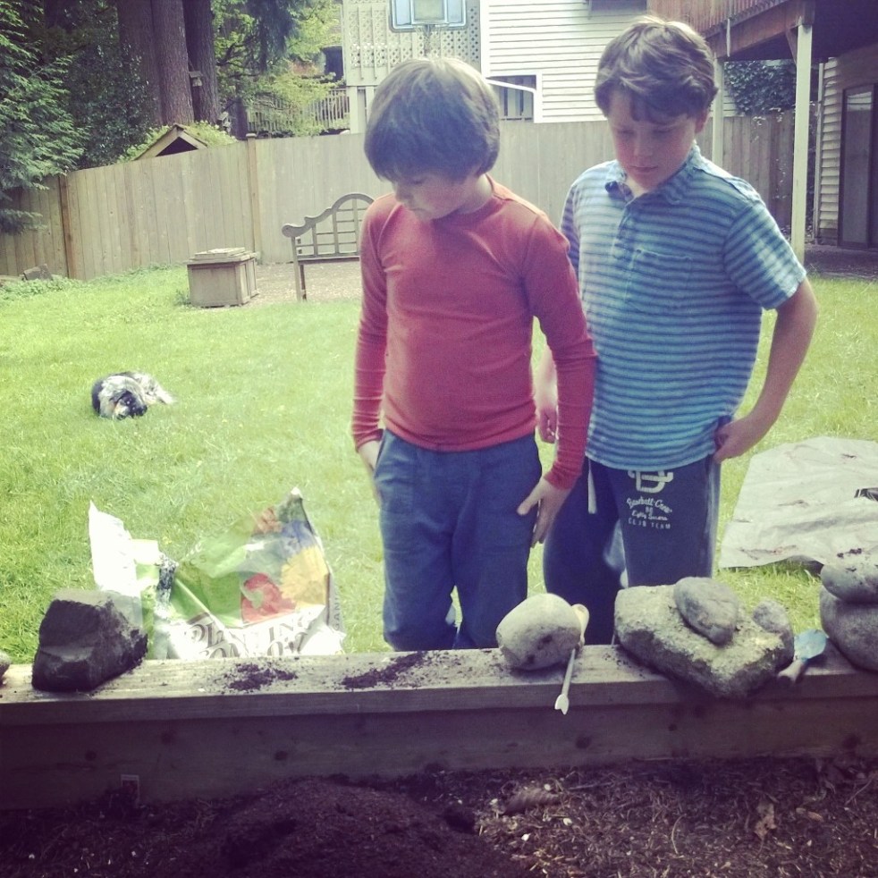 boys garden 2015