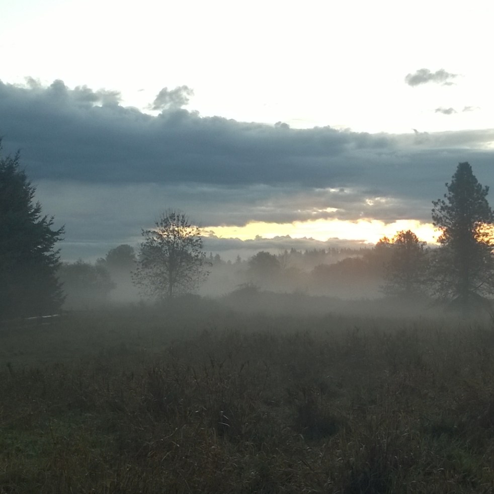 instagramcapture_54b526bf-d536-47d0-a907-c56053e64d971