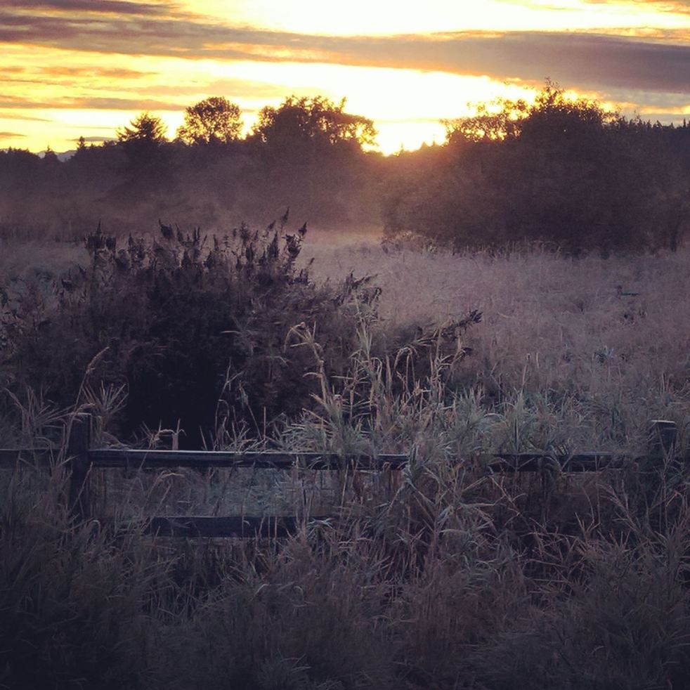 22C121AC-1631-46B4-ABCD-E94AF36499C7[1]